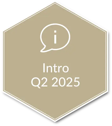 intro Q2 2025 icon